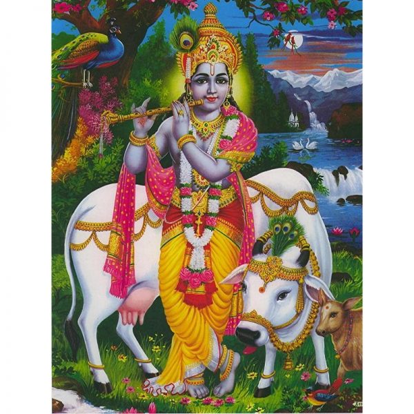 Poster Krishna