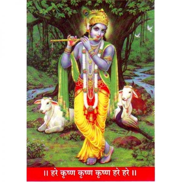 Aufkleber Krishna