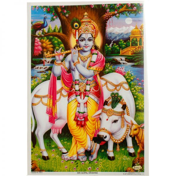 Poster Gott Krishna